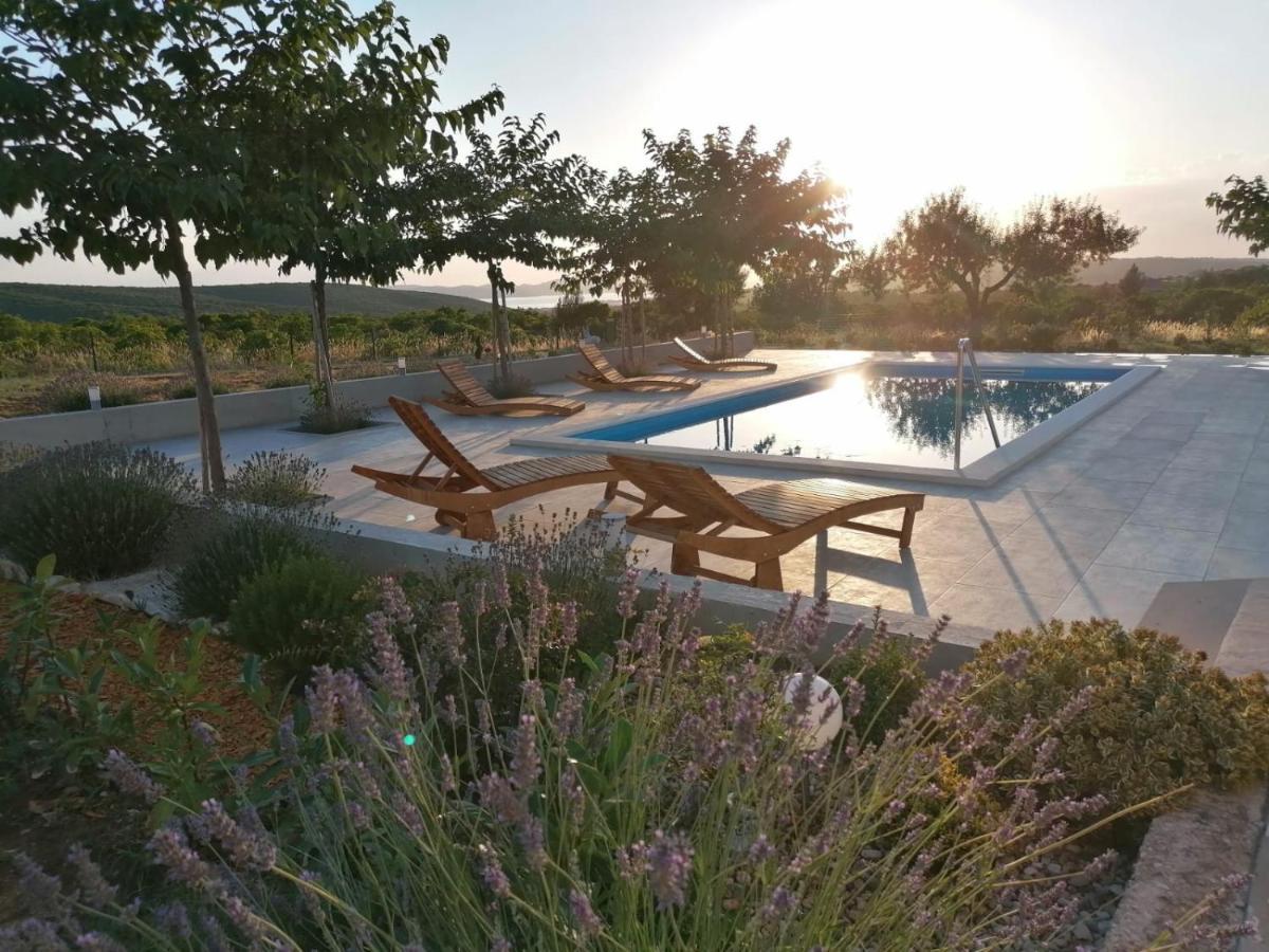 Villa Jelena Задар Екстериор снимка